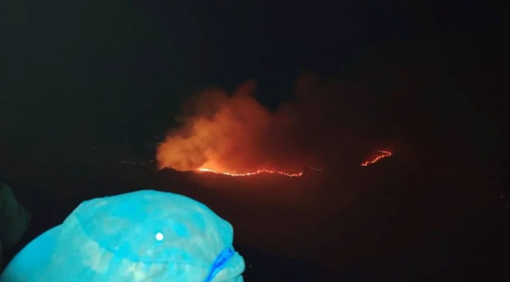 Llamas y humo de un incendio forestal durante la noche.