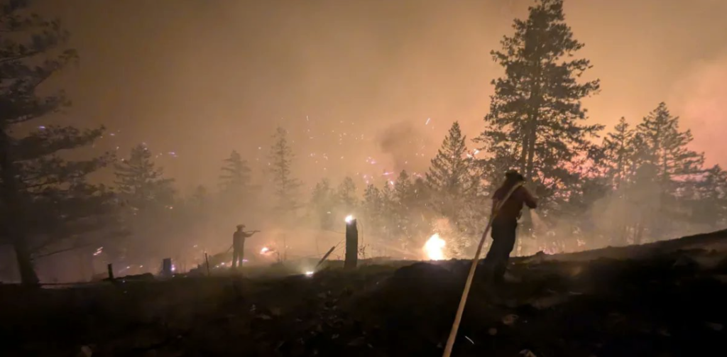 Humo y llamas entre árboles durante un incendio forestal.