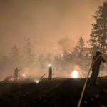 Humo y llamas entre árboles durante un incendio forestal.