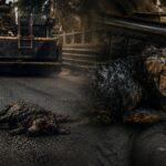 Imagen ilustrativa de un perro junto a maquinaria pesada en una calle.