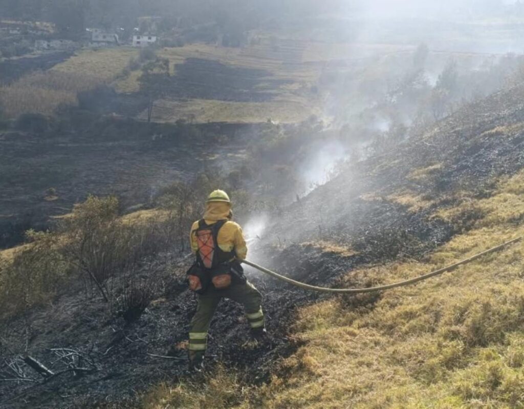 Bombero trabaja en una ladera afectada por un incendio forestal.