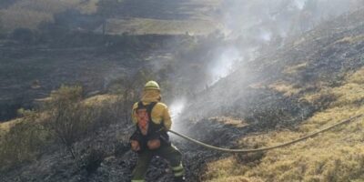 Bombero trabaja en una ladera afectada por un incendio forestal.