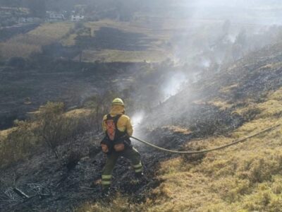 Bombero trabaja en una ladera afectada por un incendio forestal.