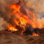 Llamas y humo cubren vegetación seca junto a una ladera.