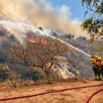 Bomberos trabajan con una manguera junto a una ladera con vegetación en llamas.
