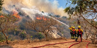 Bomberos trabajan con una manguera junto a una ladera con vegetación en llamas.