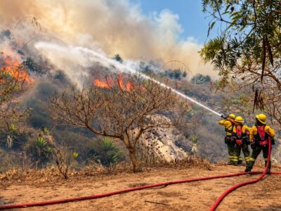 Bomberos trabajan con una manguera junto a una ladera con vegetación en llamas.