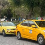 Tres taxis amarillos estacionados en fila junto a una zona arbolada.