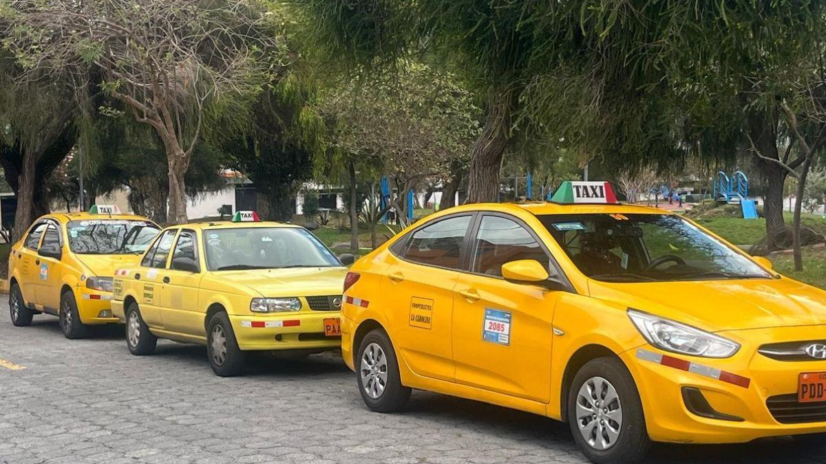 Tres taxis amarillos estacionados en fila junto a una zona arbolada.